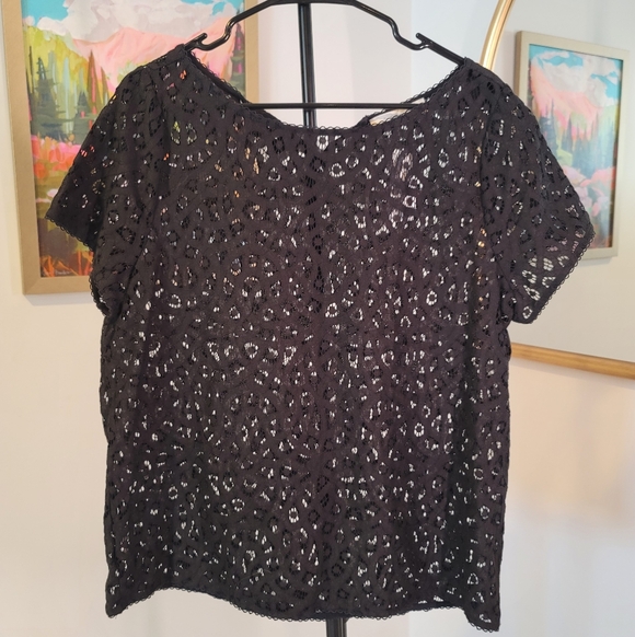 LOFT Tops - Loft Elegant Black Lace Women's Top